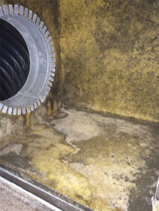 Moldy AC Unit