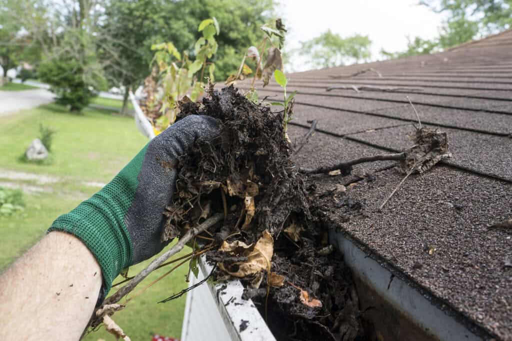 Gutters on a house being cleaned of dirt and leaves.